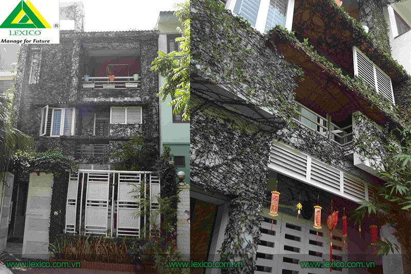 出租房屋：海防市中行5号街16D地段180号