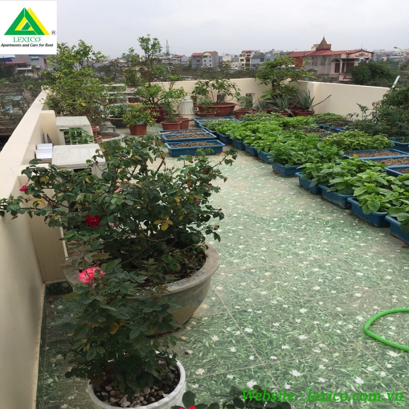 Private house for rent in Hai Phong