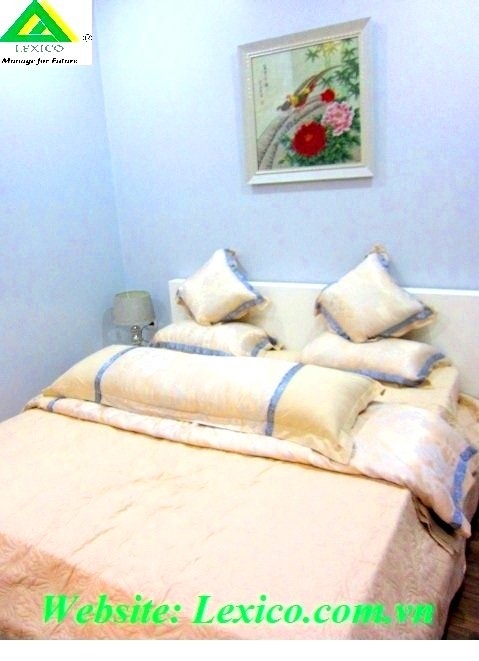 Apartment for rent at TD Plaza Hai Phong