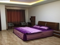 Private house for rent in Hai Phong