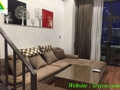 SomerSet apartment with 2 big bedrooms for rent in Hai Phong.